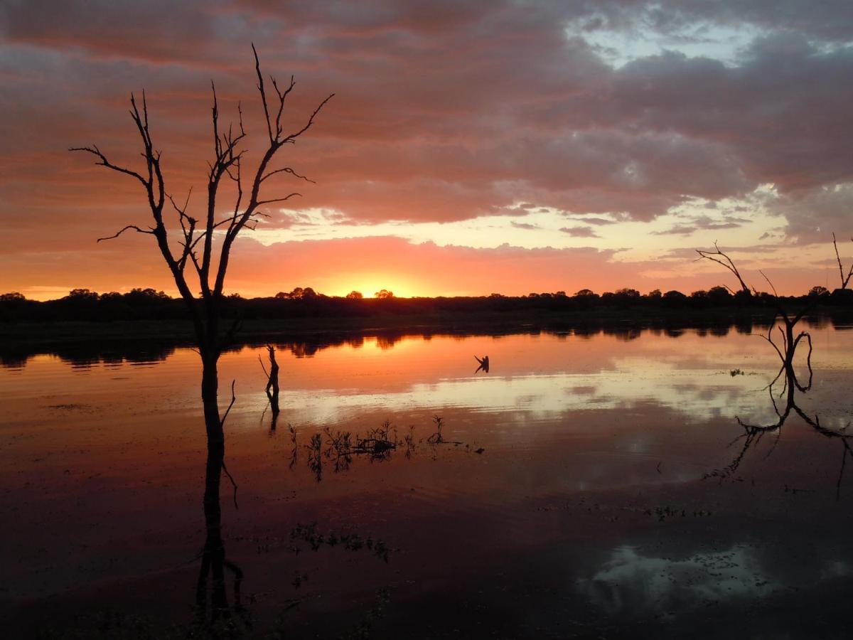 Mongena Private Game Lodge Rust de Winter 外观 照片