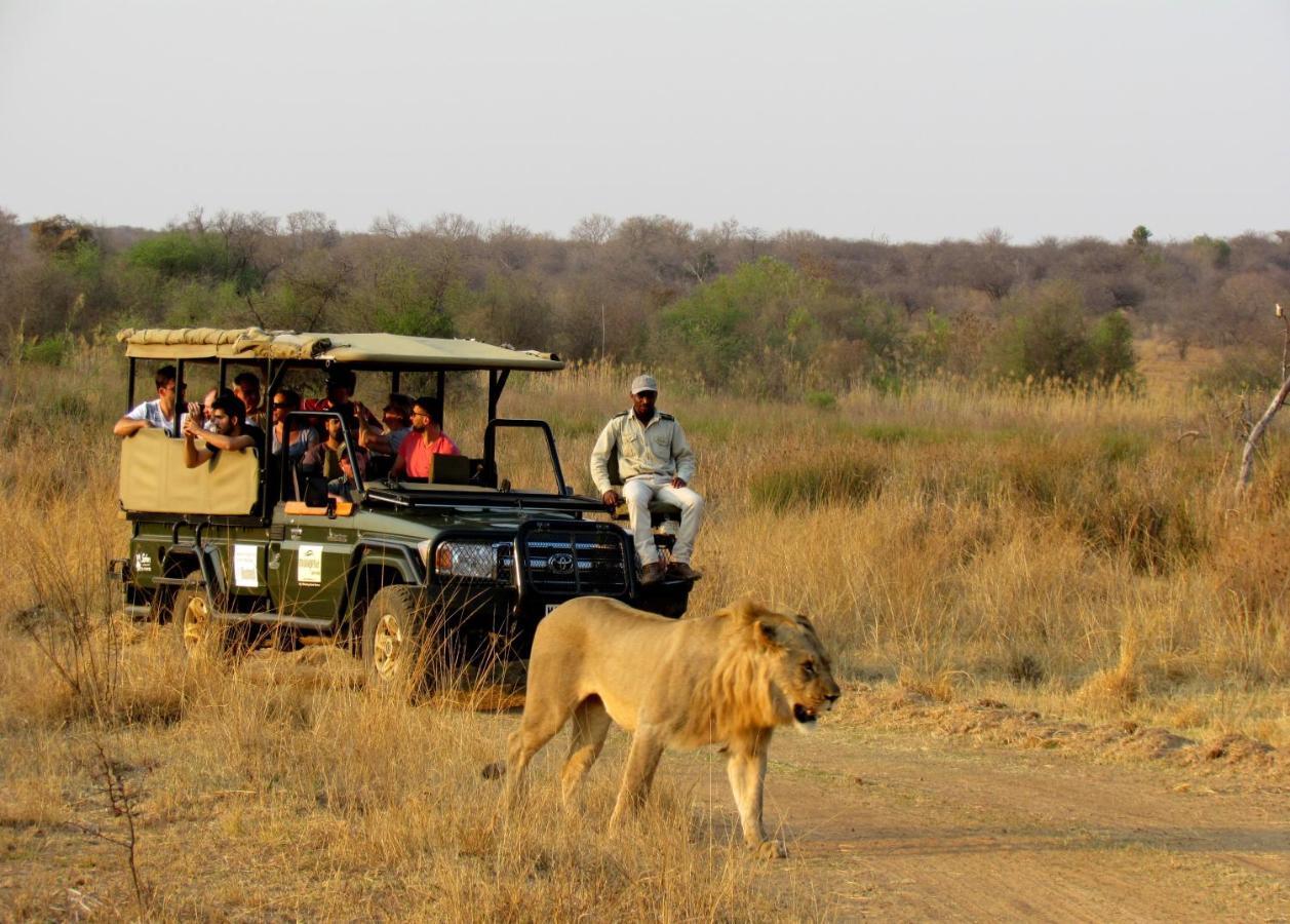 Mongena Private Game Lodge Rust de Winter 外观 照片